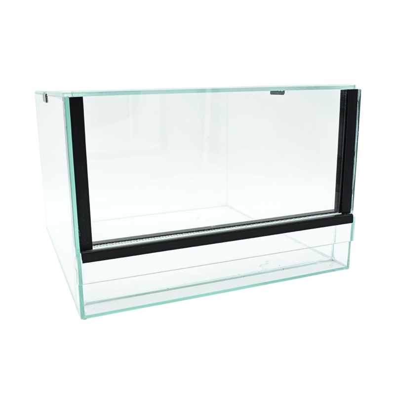 terrarium-dla-ptasznika-naziemnego-Acanthoscurria-geniculata-Brachypelma-hamorii-Chromatopelma-cyaneopubescens-Lasiodora-parahybana-Tliltocatl-albopilosus-Tliltocatl-vagans-terrarium-dla-slimaka