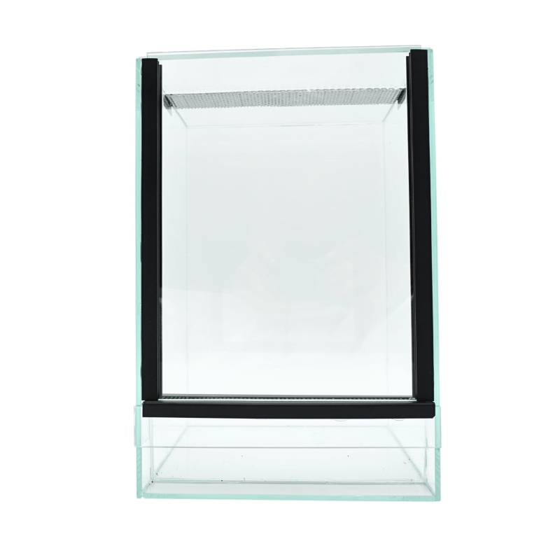 terrarium-dla-pajaka-nadrzewnego-Avicularia-Tapinauchenius-Ybyrapora-Poecilotheria