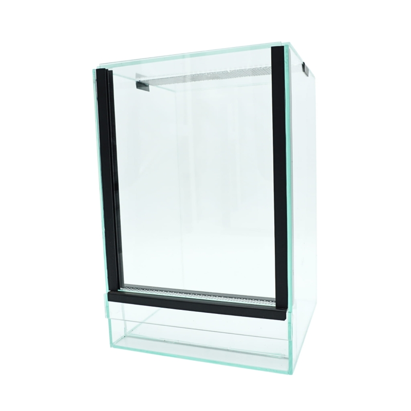 terrarium-dla-pajaka-nadrzewnego-Avicularia-Tapinauchenius-Ybyrapora-Poecilotheria