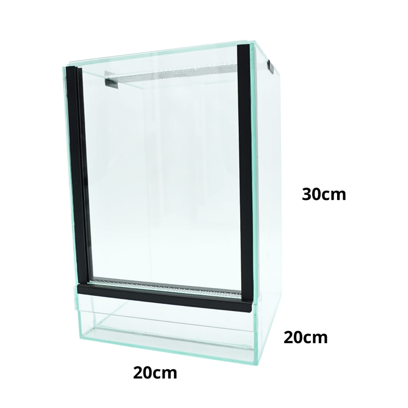 terrarium-dla-pajaka-nadrzewnego-Avicularia-Tapinauchenius-Ybyrapora-Poecilotheria