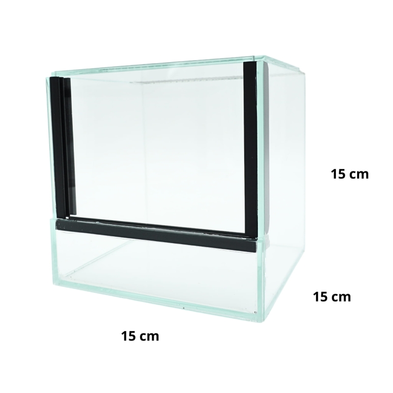 terrarium-dla-ptasznikow-naziemnych-oraz-mlodych-gatunkow-podziemnych