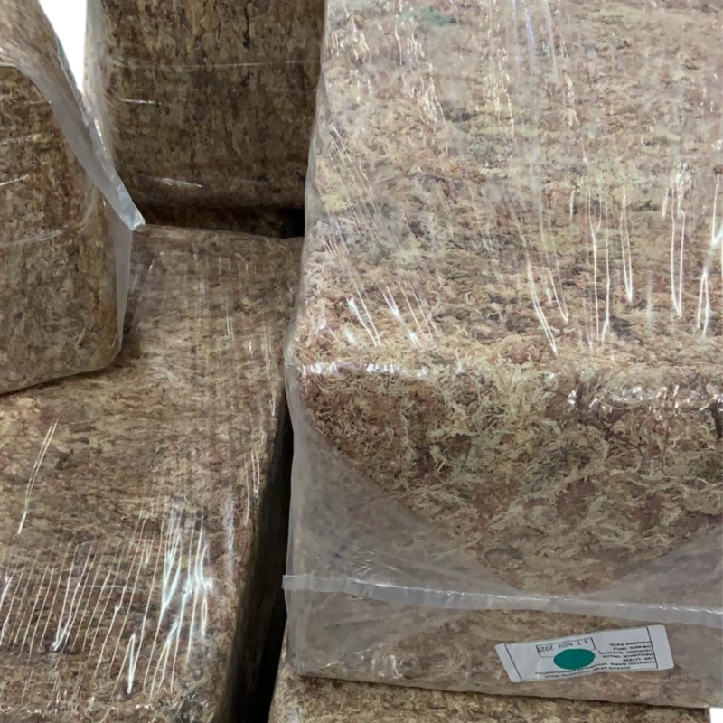 mech-sphagnum-5kg-250-duzy-najlepszy-mech-do-roslin