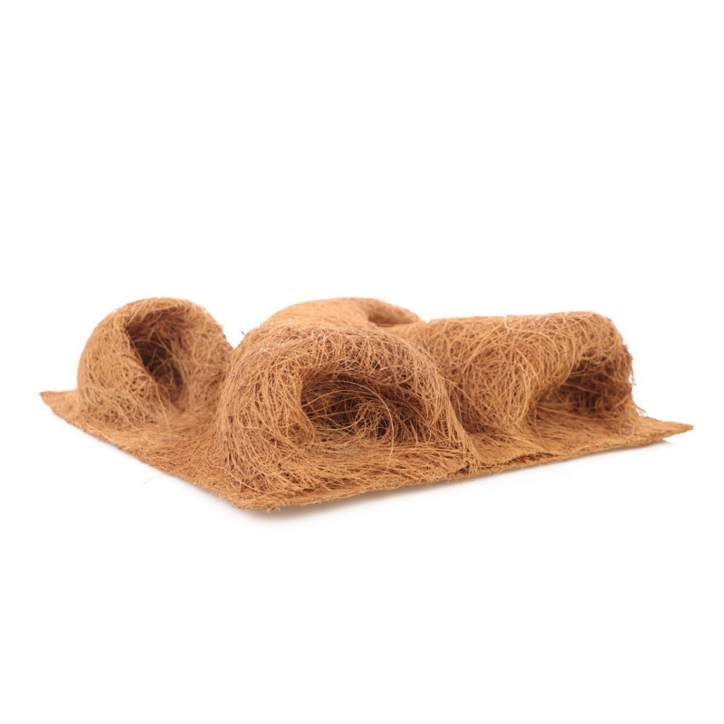 scianka-do-terrarium-dla-gekona