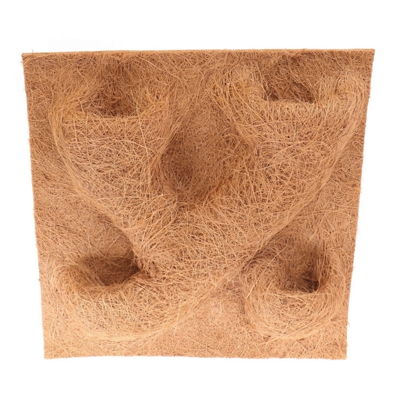 scianka-do-terrarium-dla-gekona