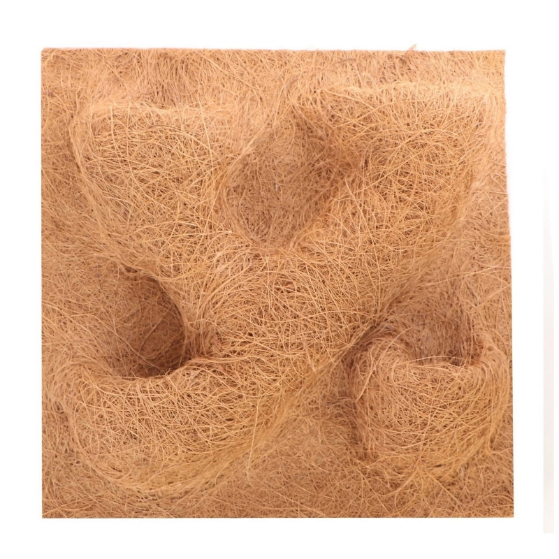 scianka-do-terrarium-dla-gekona