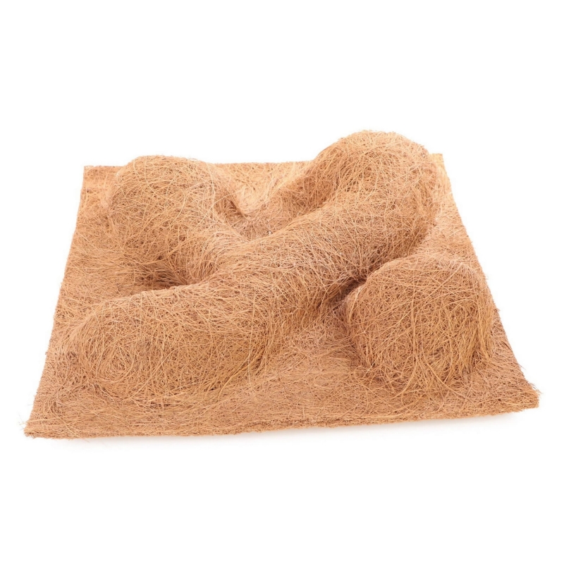 scianka-do-terrarium-dla-gekona