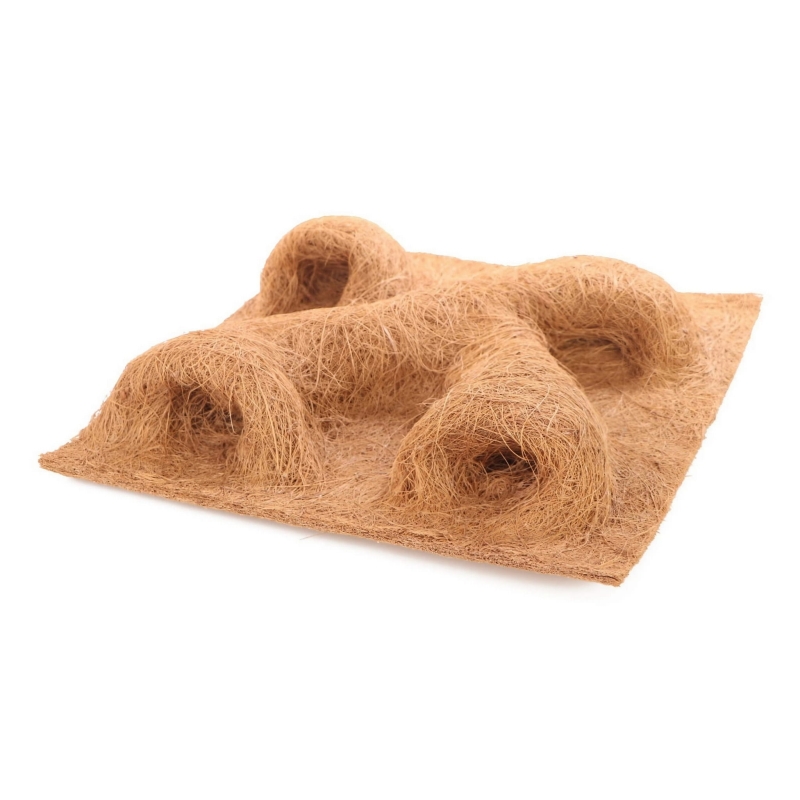 scianka-do-terrarium-dla-gekona