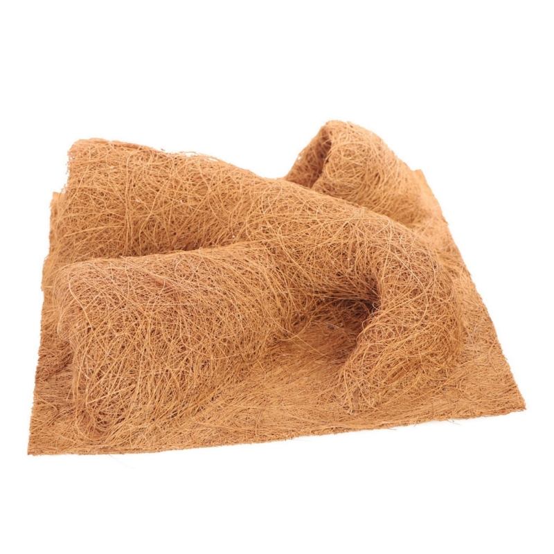 scianka-do-terrarium-dla-gekona