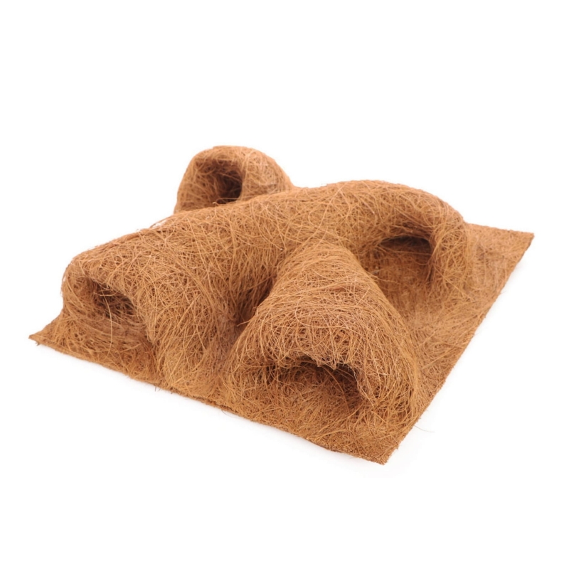 scianka-do-terrarium-dla-gekona