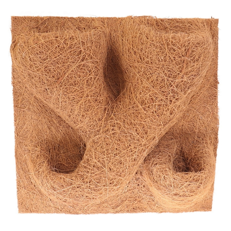 scianka-do-terrarium-dla-gekona