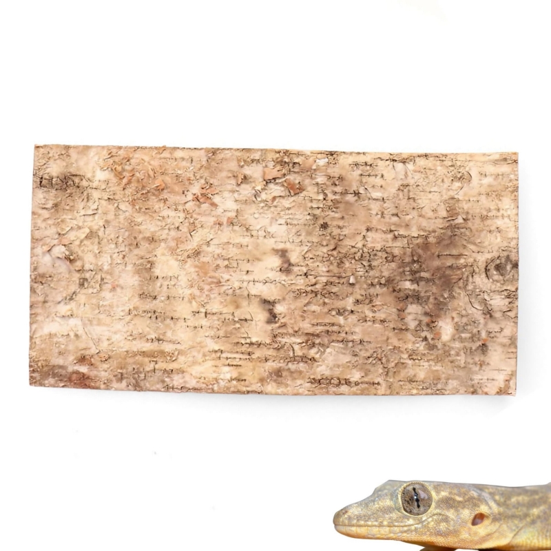 tlo-kora-prasowana-do-terrarium