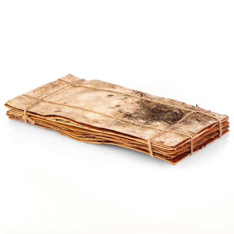 tlo-do-terrarium-dla-ptasznika