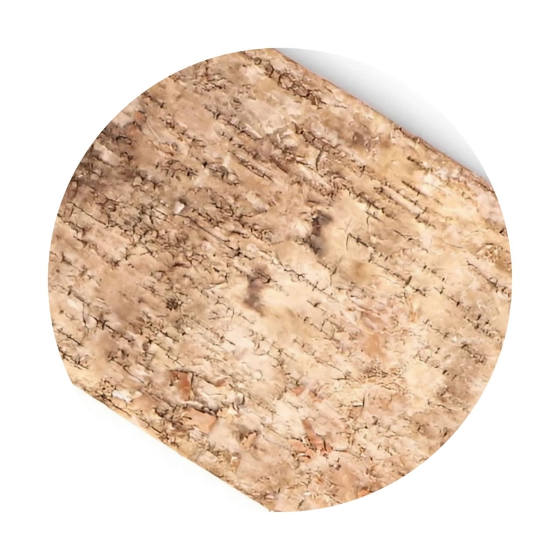 tlo-do-terrarium-dla-ptasznika