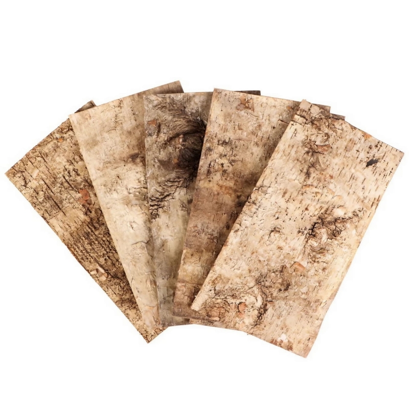 tlo-do-terrarium-dla-ptasznika