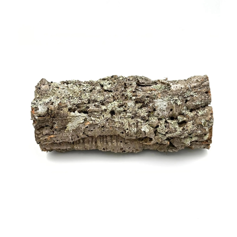 skrytka-do-terrarium-dla-pajaka-ptasznika