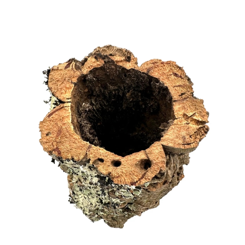 skrytka-do-terrarium-dla-pajaka-ptasznika