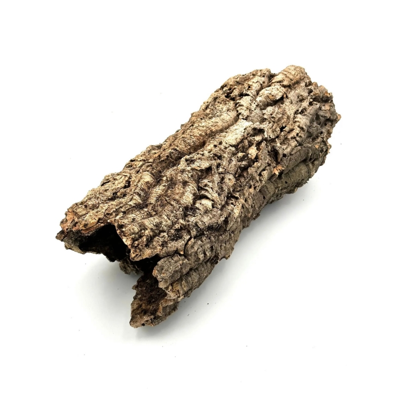 kryjowka-dla-duzego-weza
