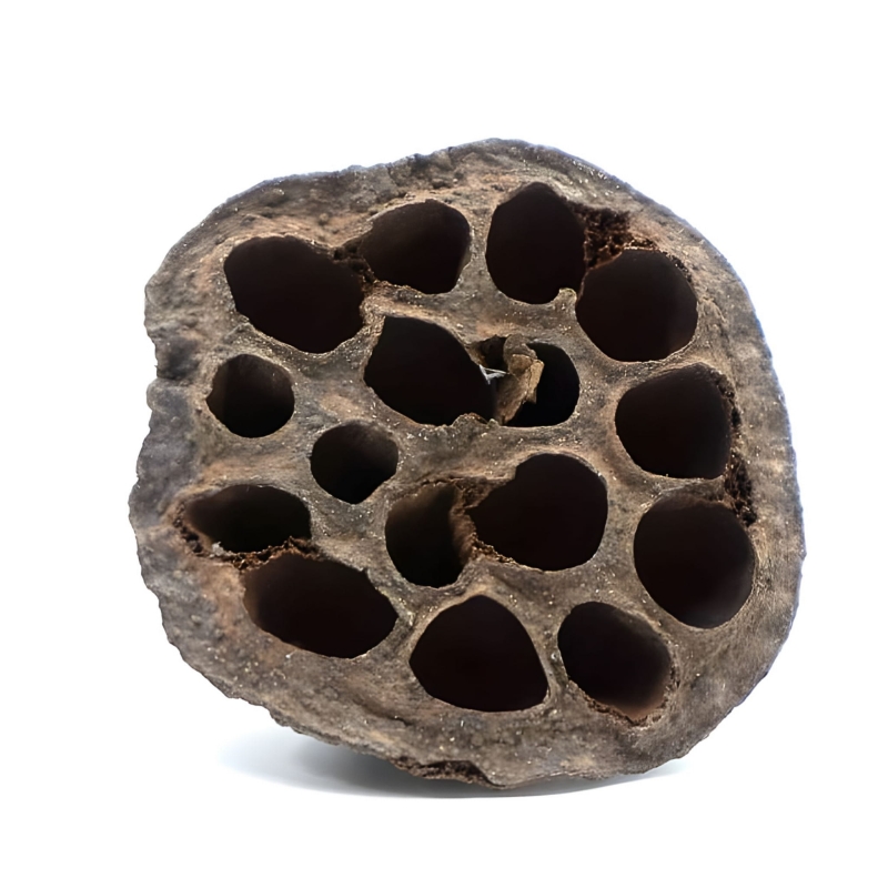 BioLotus-lotos-suszony-dekoracja