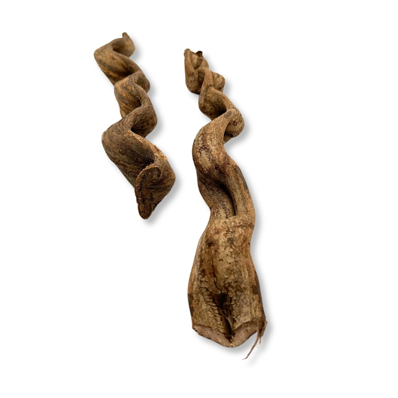 Dekoracja-do-terrarium