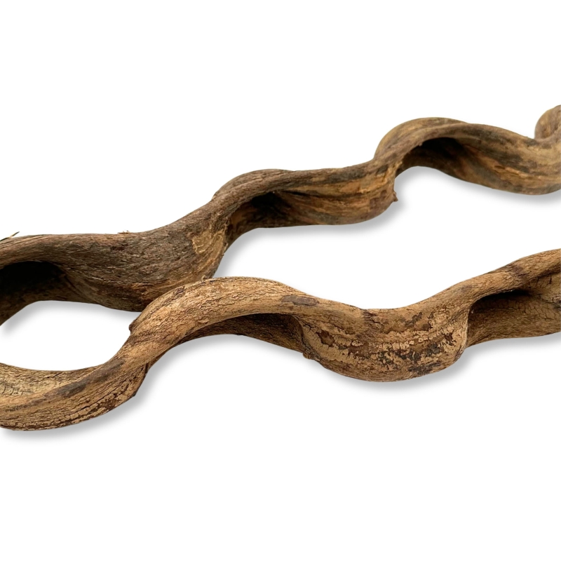 Naturalna-liana-do-Terrarium-liana-do-kompozycji