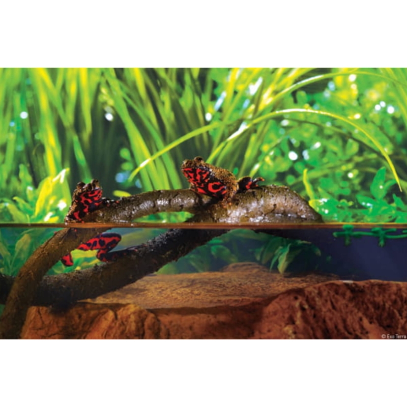 liana-dekoracja-do-terrarium