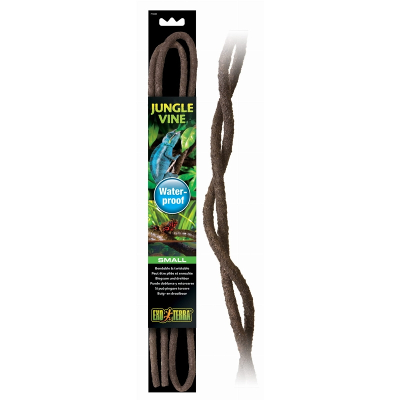 jungle-vine-liana-do-terrarium
