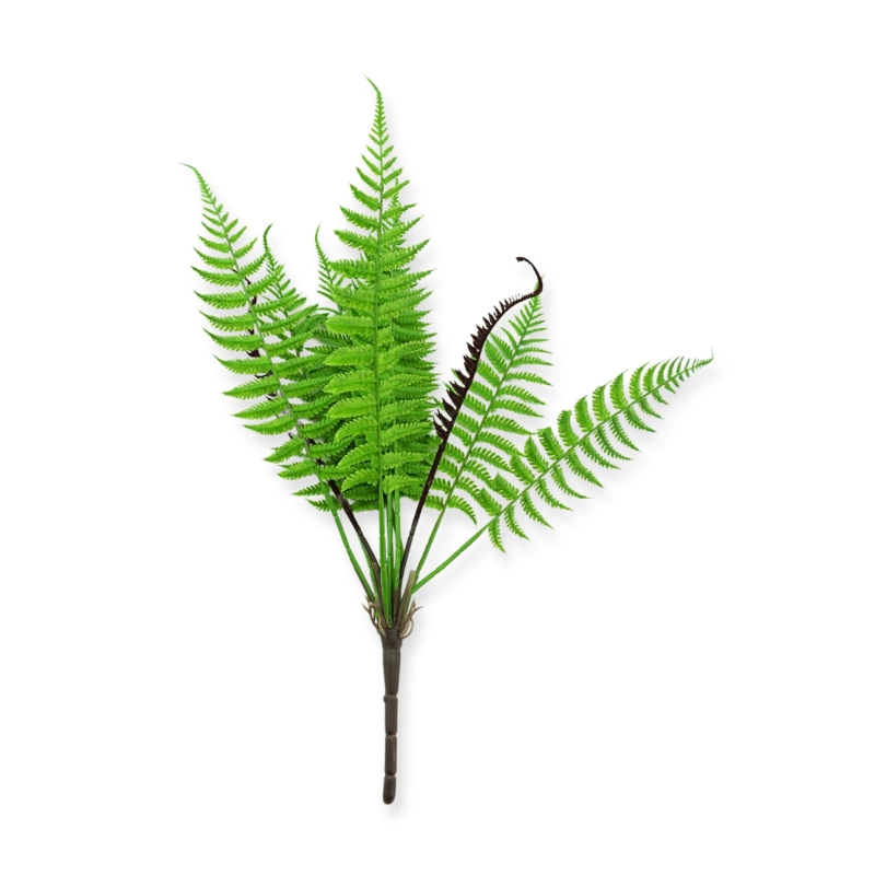 paproc-do-terrarium