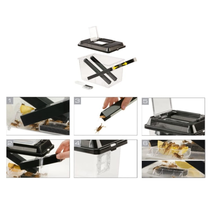 duzy-pojemnik-do-hodowli-swierszczy