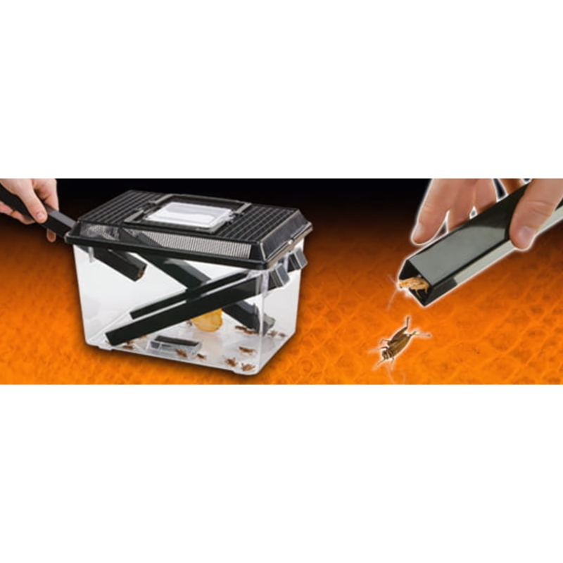 duzy-pojemnik-do-hodowli-swierszczy