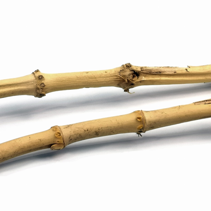 Bambus-ozdoba-naturalna-dekoracja-do-terrarium