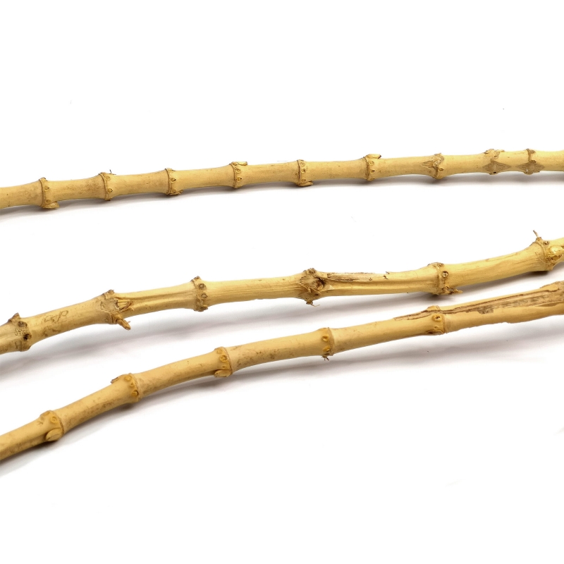 Bambus-ozdoba-naturalna-dekoracja-do-terrarium