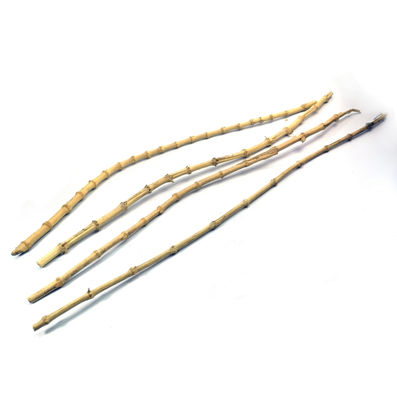 naturalna-dekoracja-dla-gekona-agamy-jaszczurki