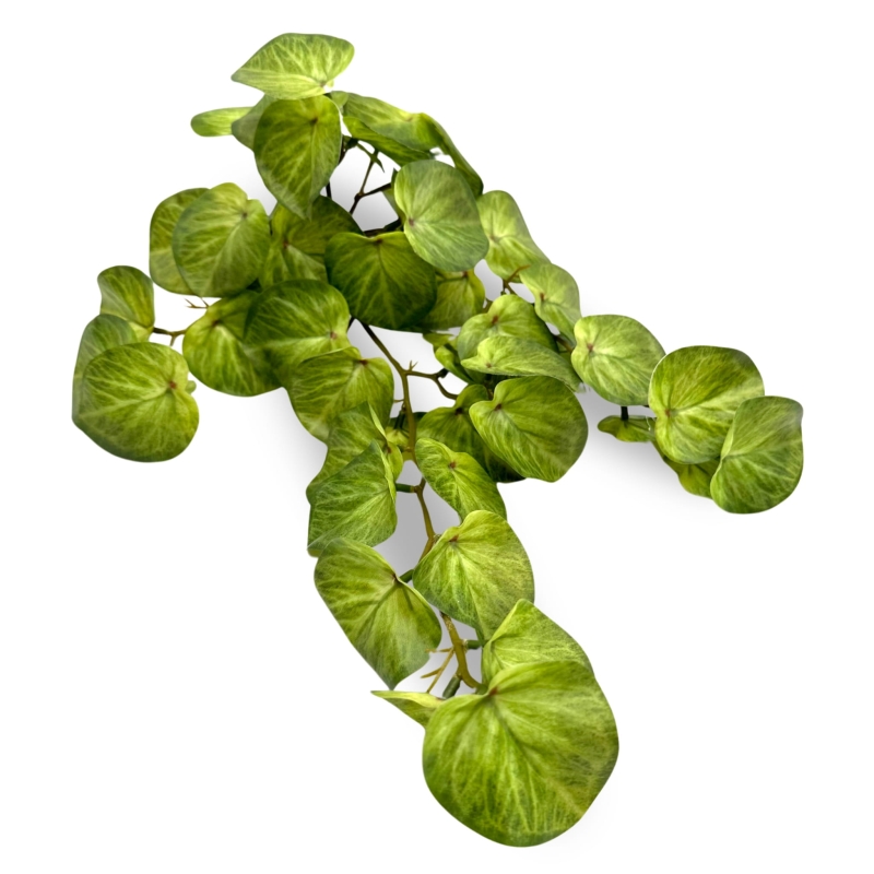 sztuczna-roslina-pilea-do-terrarium