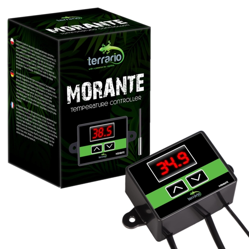 Terrario-Morante-termostat-terrarystyczny-z-sonda