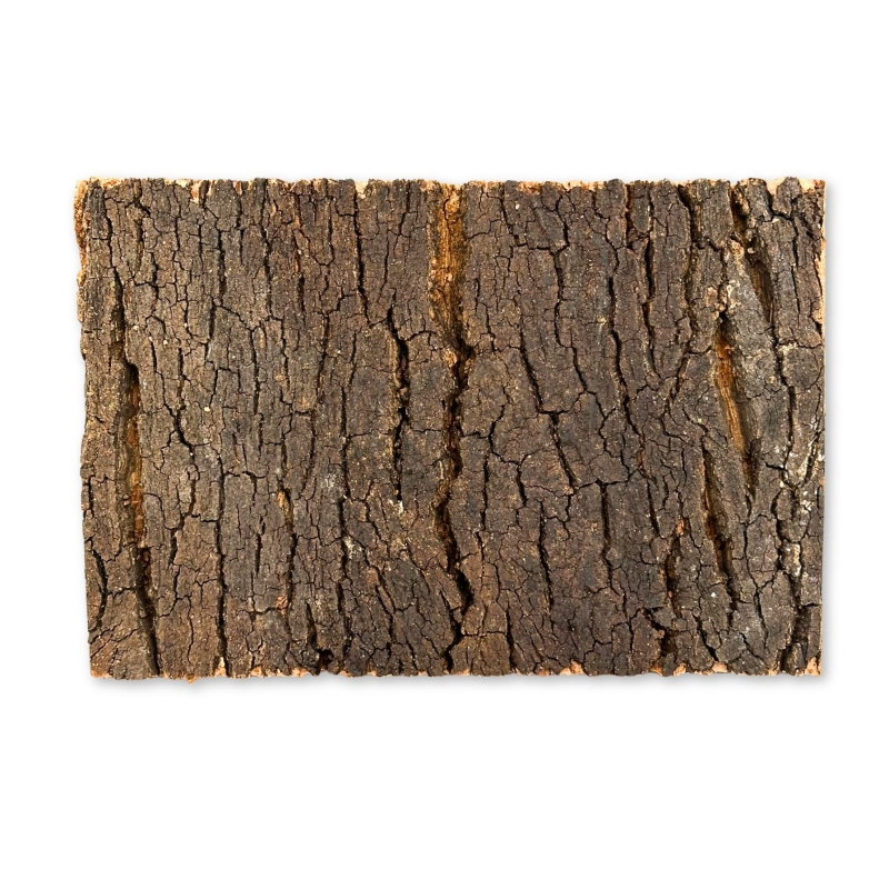 BioVirgin-Cork-Background-Dark