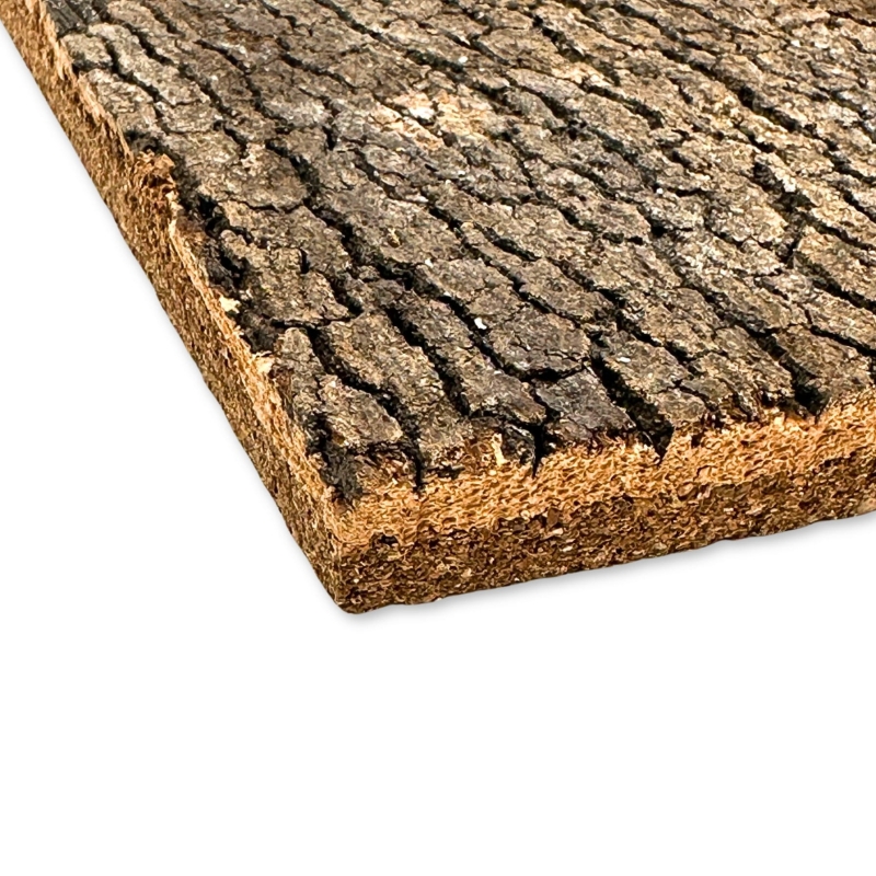 background-tlo-do-terrarium