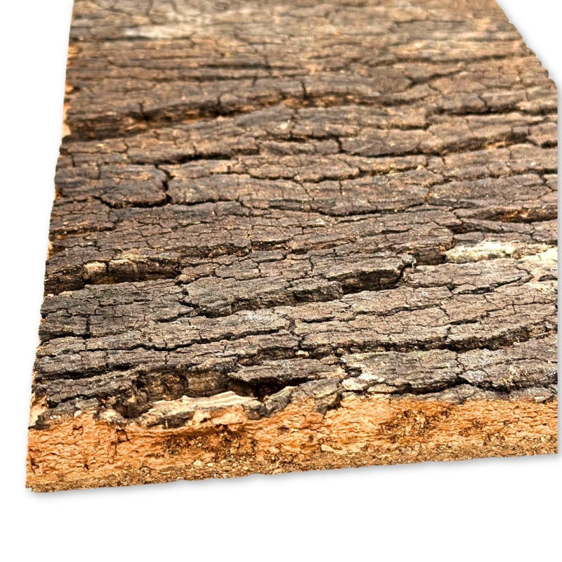 493c3033d7dcdaa4950fa0d5af09b3af