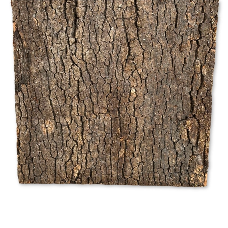 BioVirgin-Cork-Background-Dark