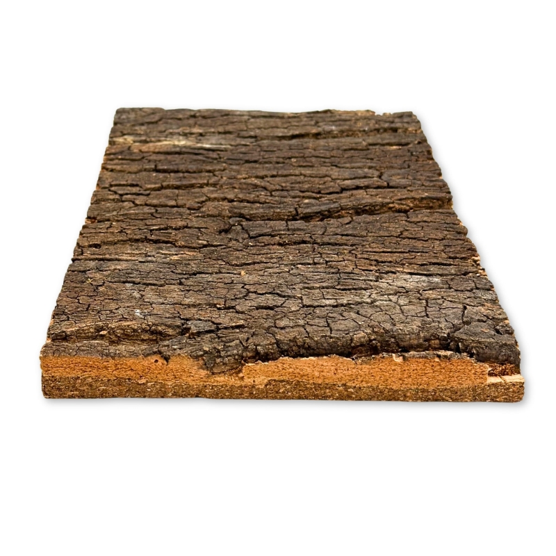 BioVirgin-Cork-Background-Dark