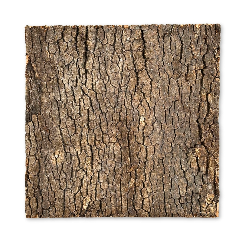 tlo-korkowe-do-terrarium