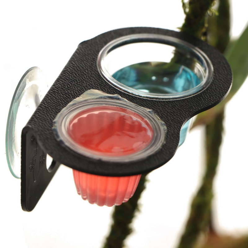 terrario-gecko-bar-duo-invisible-miska-wiszaca-podwojna