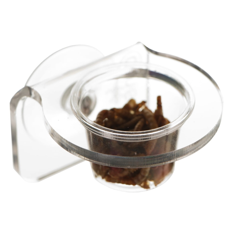 Terrario-Gecko-Bar-Invisible