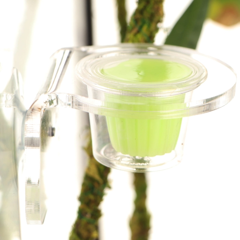 stelaz-z-przyssawkami-do-zawieszenia-z-miseczka-dla-gekona