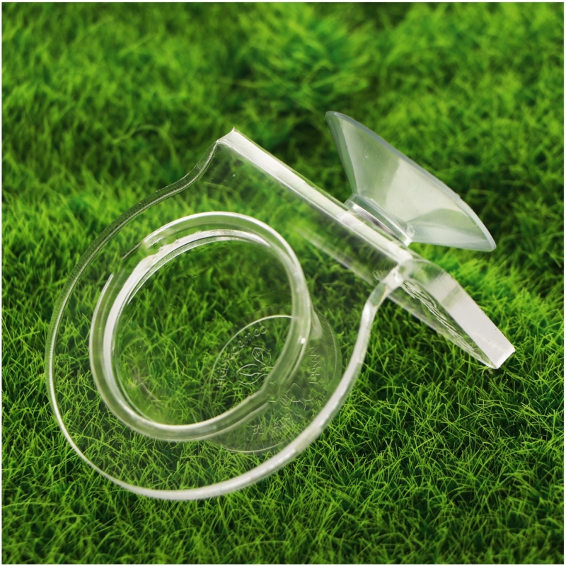 miska-dla-jaszczurki-gekona