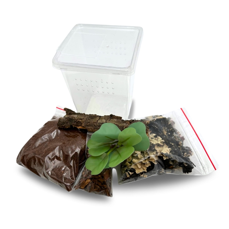 zestaw-startowy-dla-pajaka-nadrzewnego