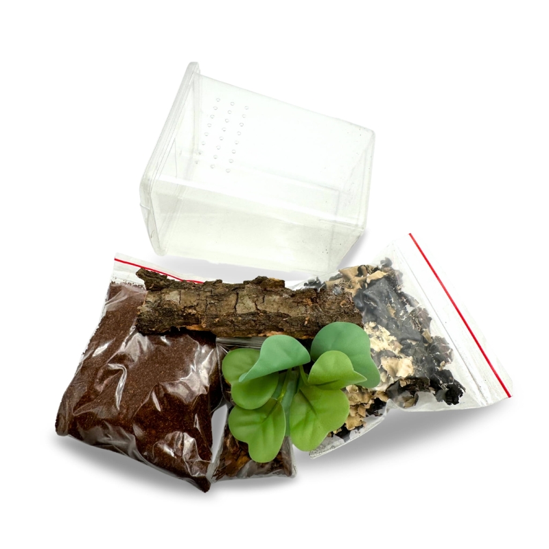 zestaw-dla-mlodych-pajakow