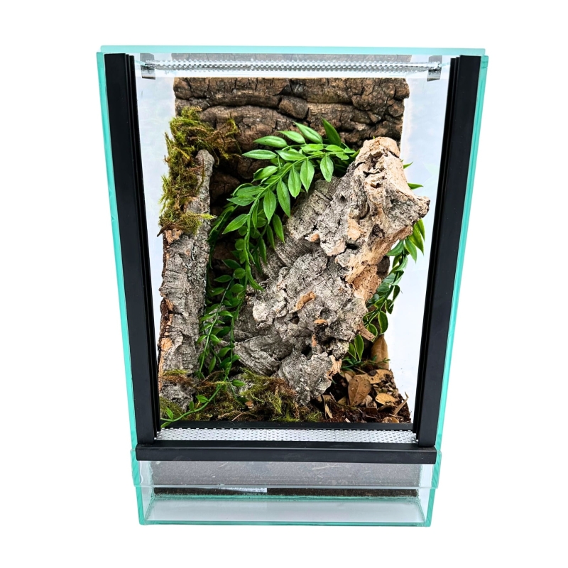 terrarium-z-wyposazeniem-dla-ptasznika