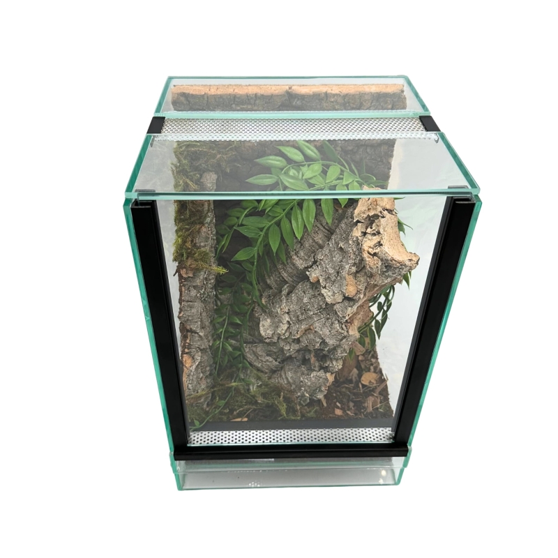 terrarium-dla-pajaka