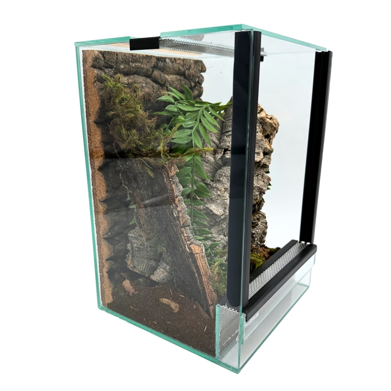 terrarium-dla-ptasznika-nadrzewnego