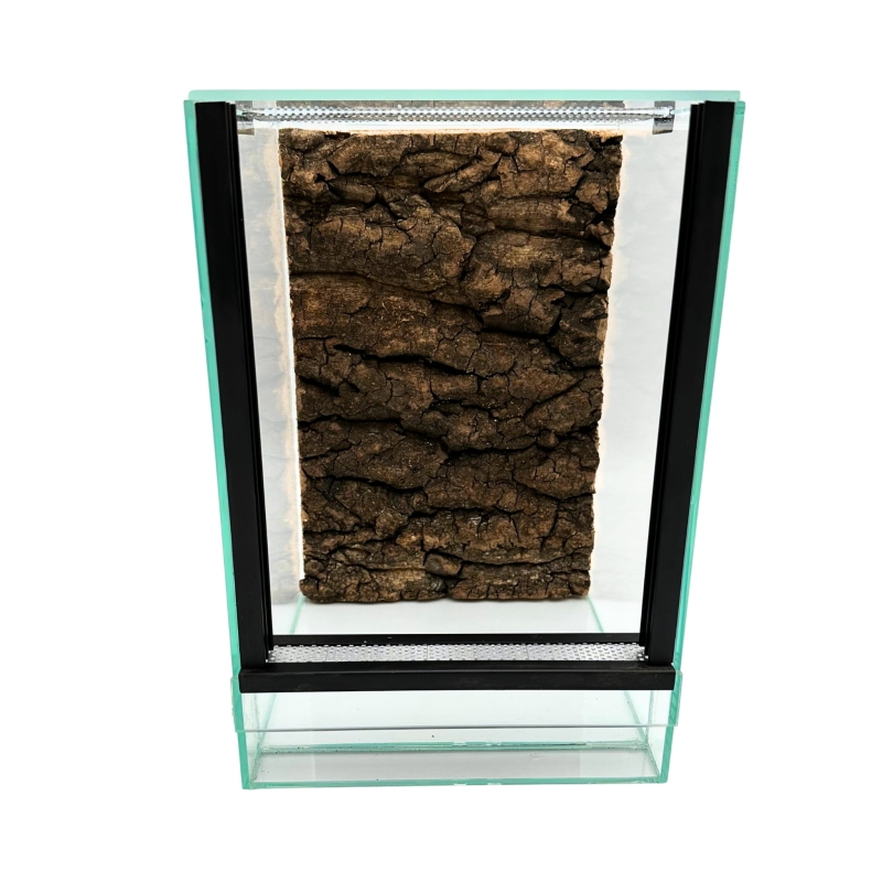 terrarium-pionowe-dla-pajaka-nadrzewnego